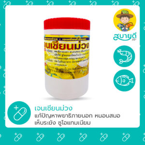 เจนเชียนม่วง