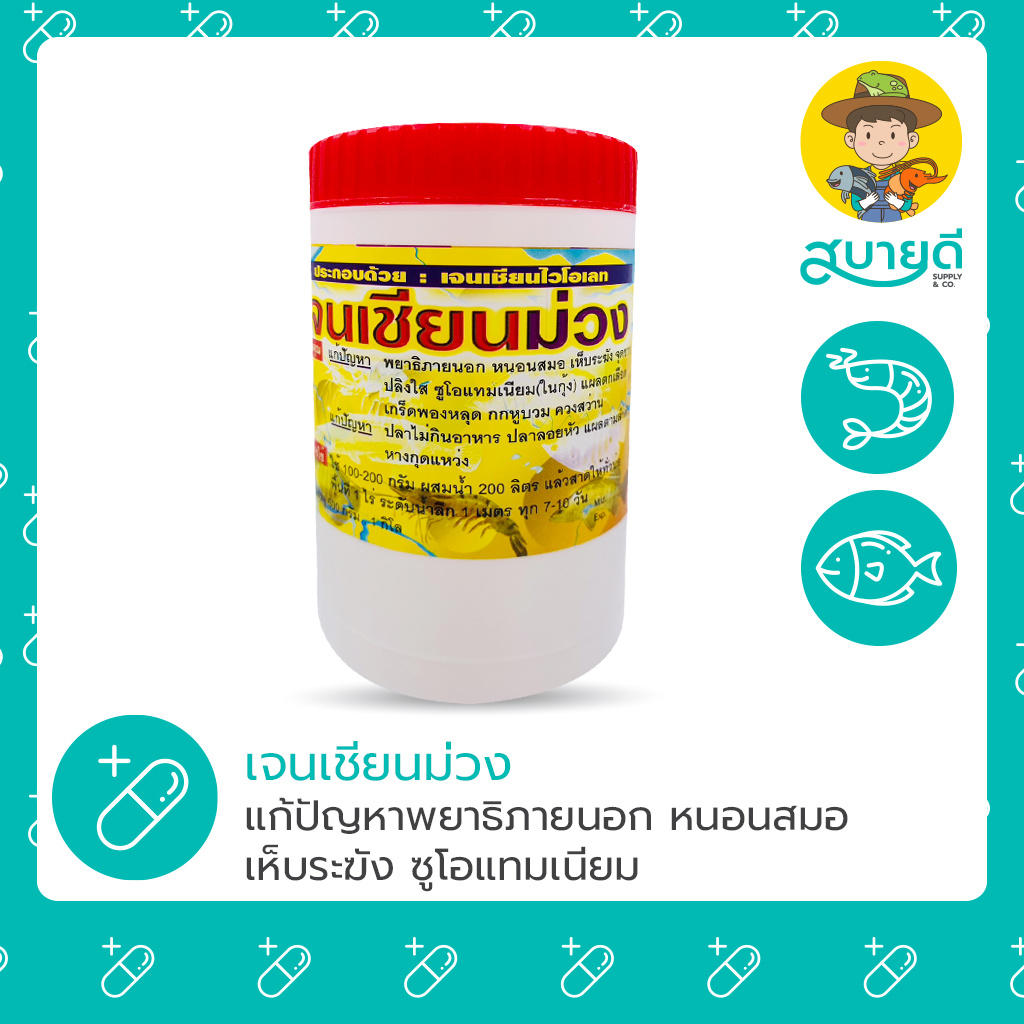 13-เจนเชียนม่วง -16-5-67