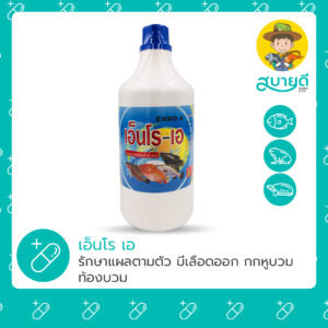 เอ็นโร เอ
