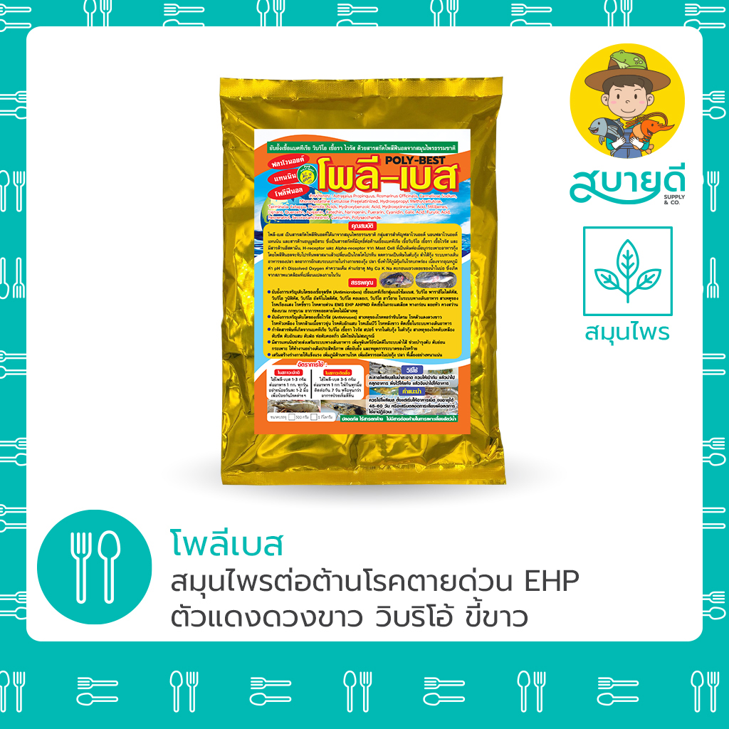 โพลีเบส