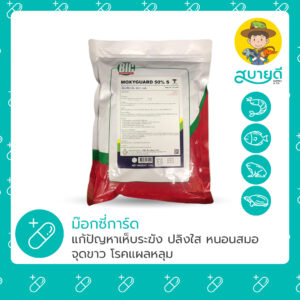 ม็อกซี่การ์ด