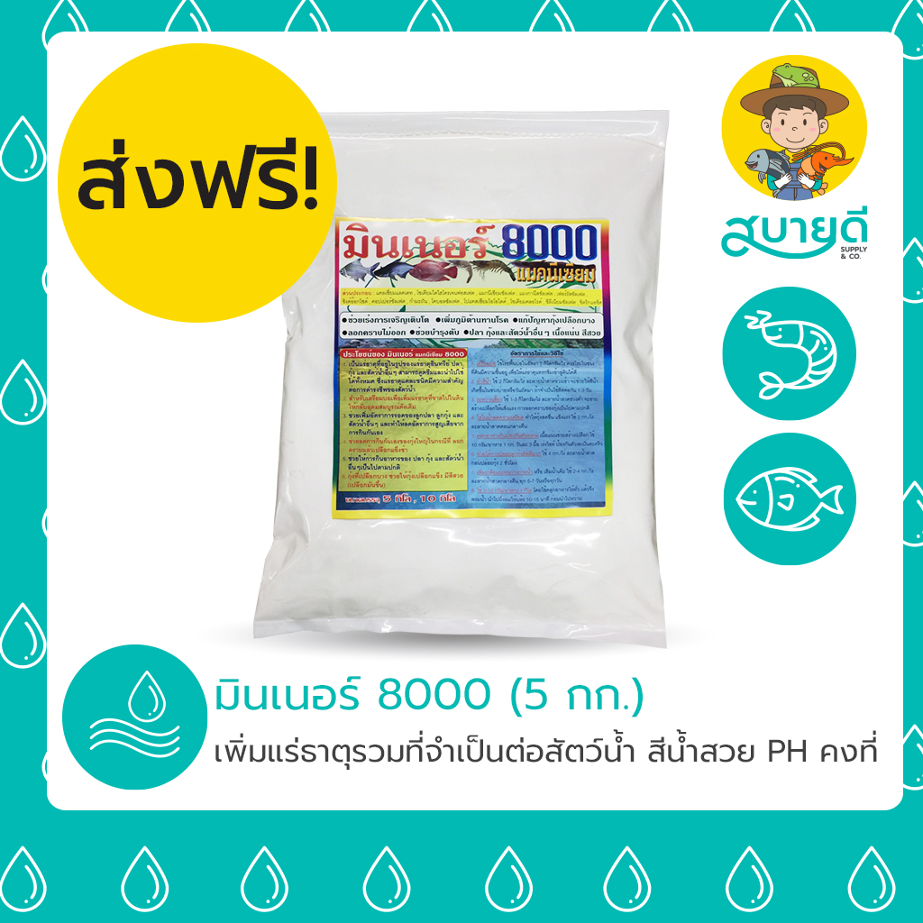 4-มินเนอร์ 8000 มินเนอร์ 8000