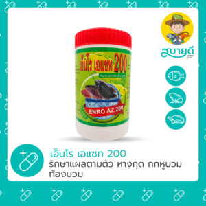 เอ็นโร-เอแซท200