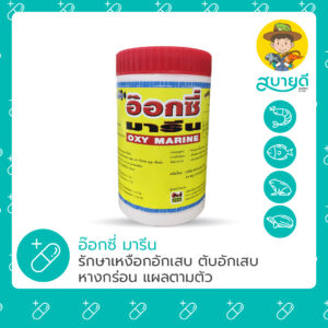 อ๊อกซี่ มารีน