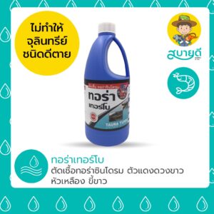 ทอร่าเทอร์โบ