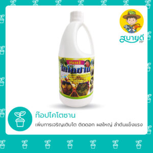 ท๊อปไคโตซาน