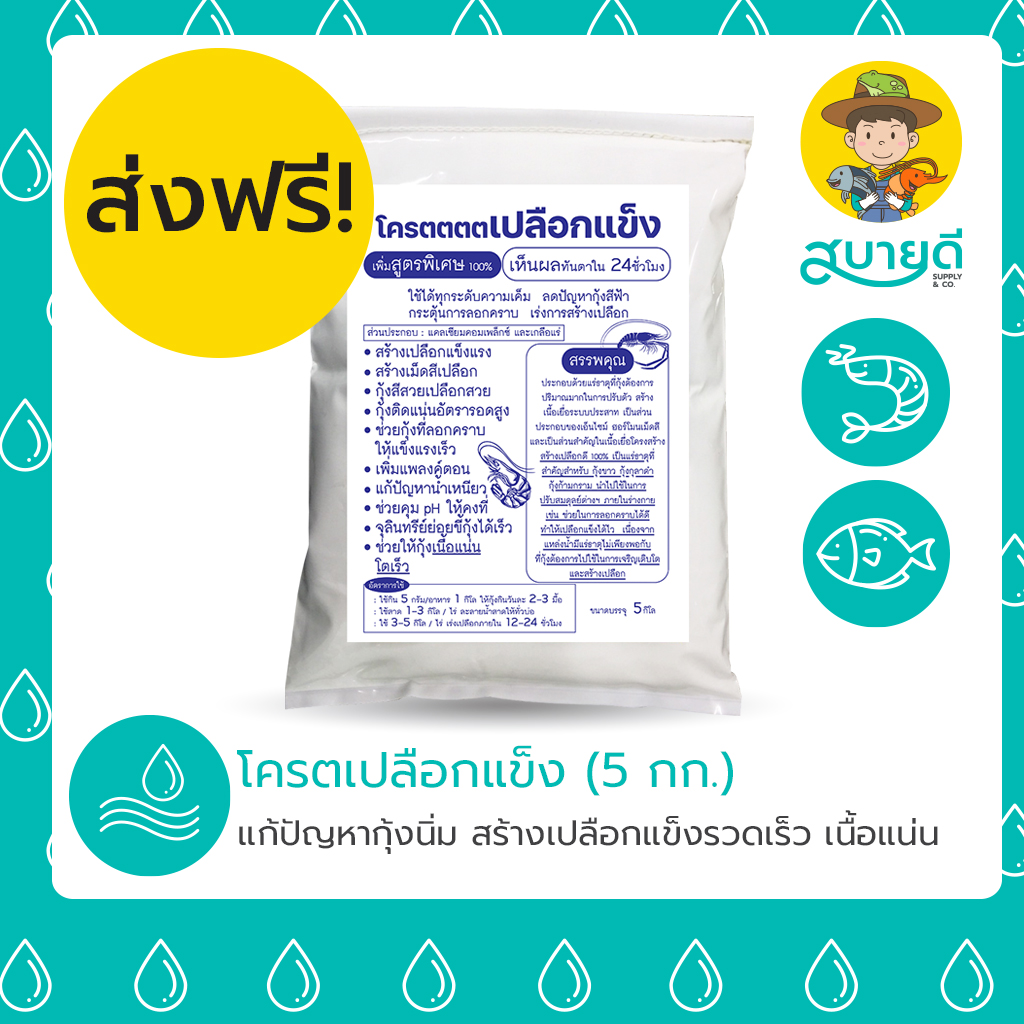 1-โครตเปลือกแข็ง โครตตตตเปลือกแข็ง