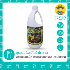 ซุปเปอร์อะมิโนไคโตซาน