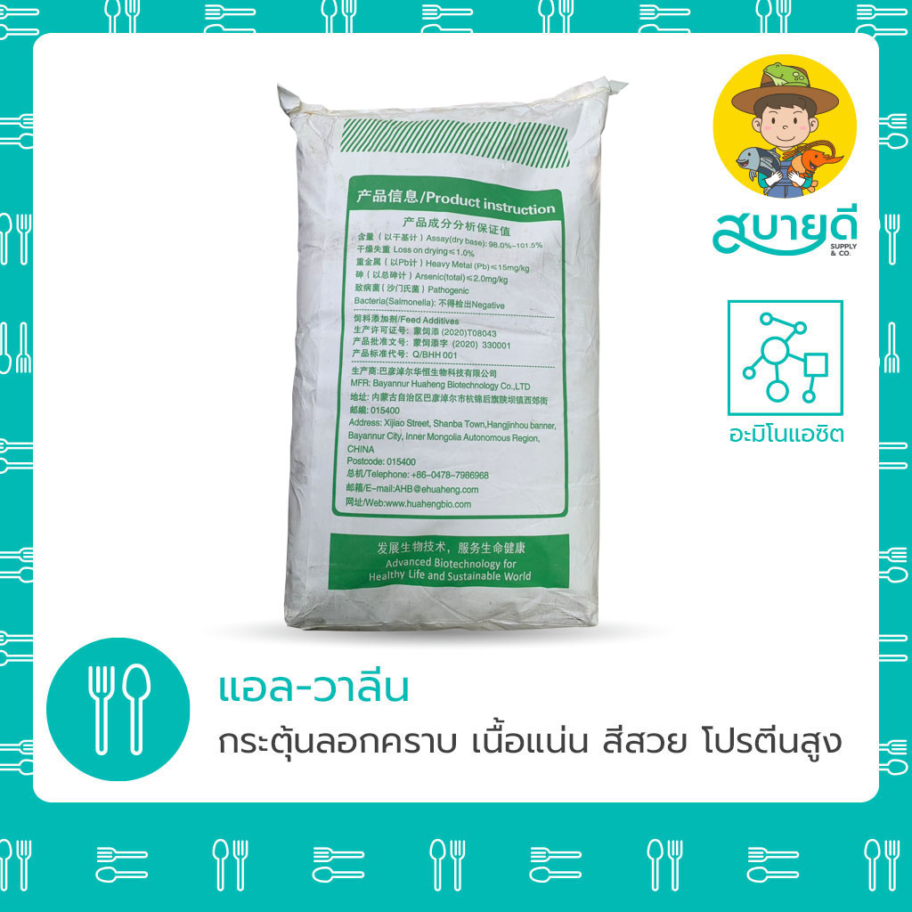 2-แอล-วาลีน หลัง copy