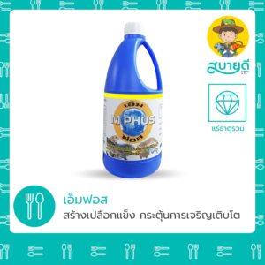 เอ็มฟอส