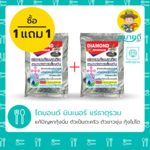 ไดมอนมินเนอร์