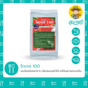 ไดเจส 100