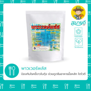 พาวเวอร์พลัส