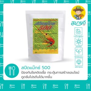 สปีดแม๊กซ์ 500