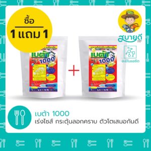เบต้า1000