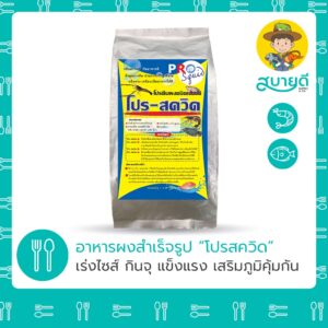 โปรสควิด