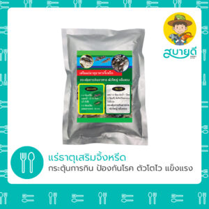 จิ้งหรีด
