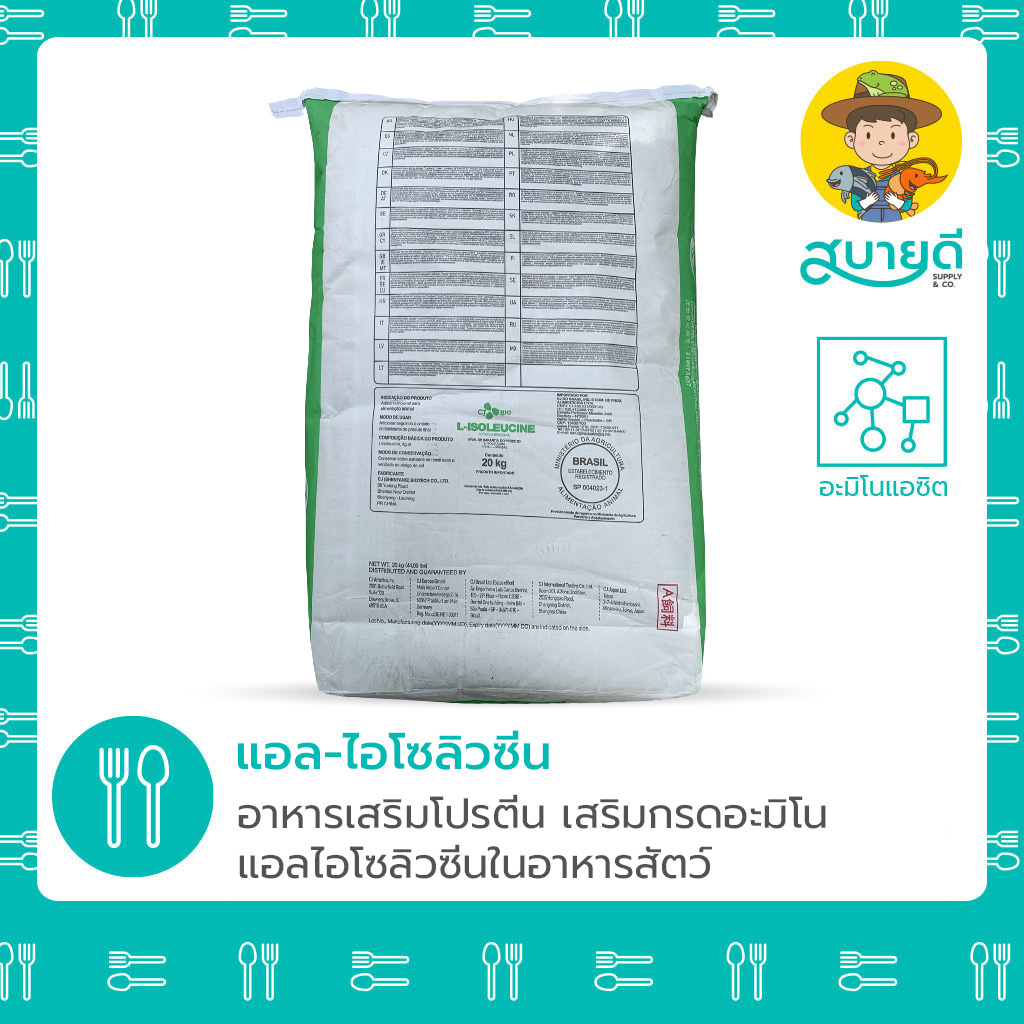 แอลไอโซลิวซีน หลัง
